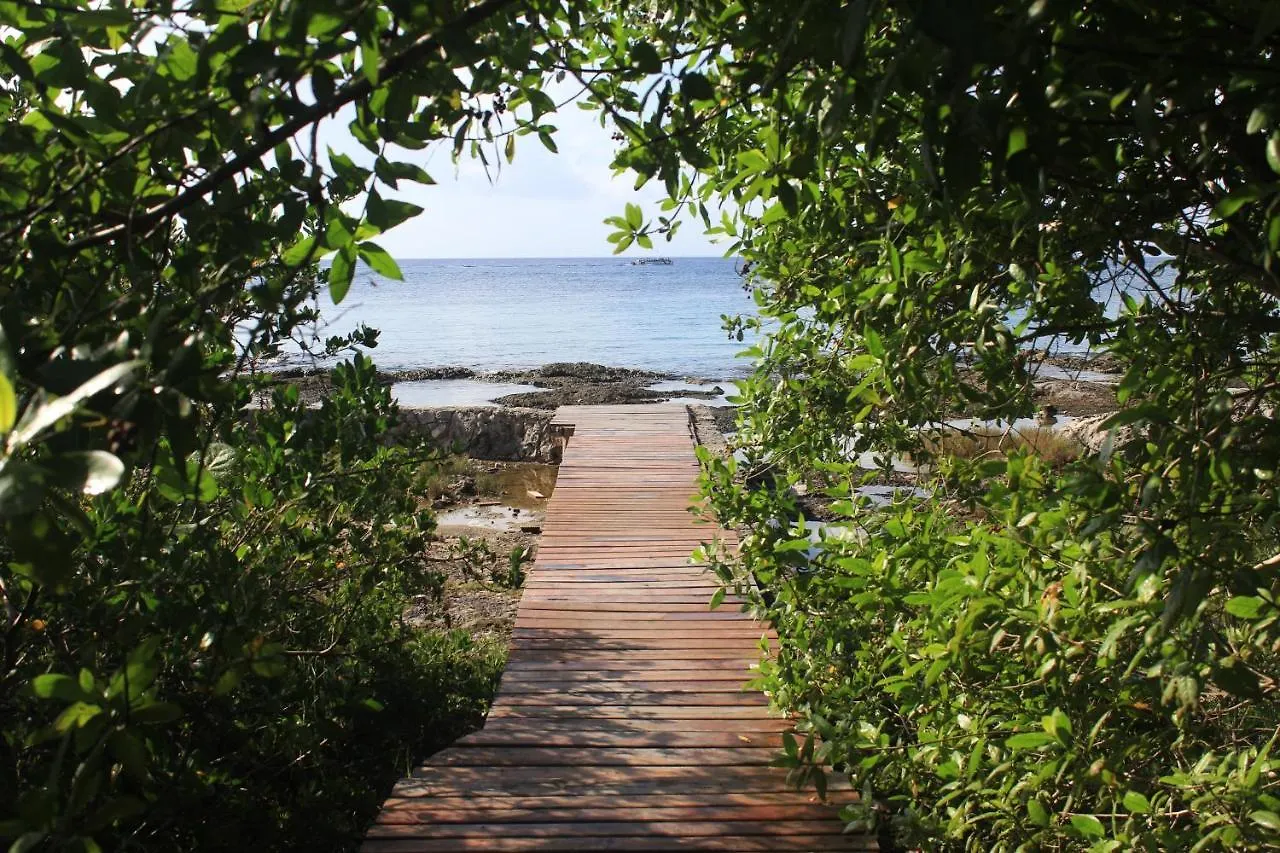 Confortable Casa En Cozumel, Condominio Con Vista Al Mar # 10 Mexico
